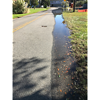 Day after the king tide Virginia Beach image